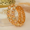 Rajsi Gulmohar Bangles