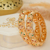 Rajsi Gulmohar Bangles
