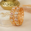 Roshan Gulzar Bangles