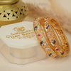 Mayur Meenakari Bangles (2 Pc Set)