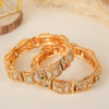 Rajvardhini Copper Bangles